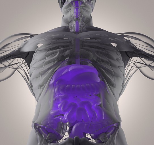 Understanding individual microbiomes