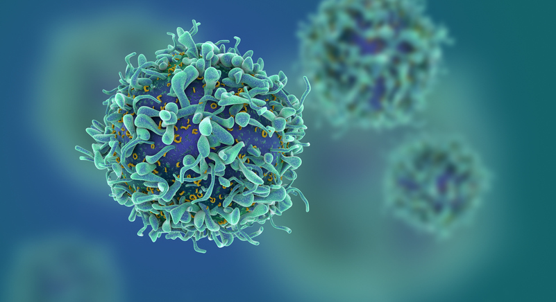 Understanding cancer causing cells