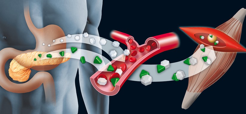 Investigating genome-environment interactions in diabetes