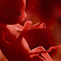 LifeLabs offers first-ever pre-natal screening blood test in Canada