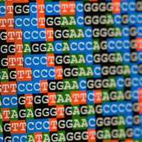 Illumina expands world’s largest genomics analysis platform