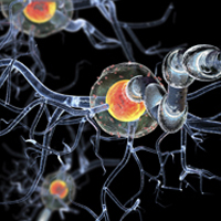 How genome sequencing creates communities around rare disorders
