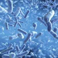 Hungry bacteria help Hamilton’s wastewater system turn a profit