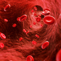 Research redefines how stem cells make blood