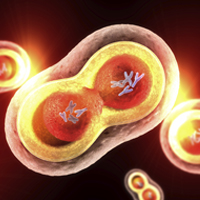 $20M for new cell regeneration research facility in Toronto