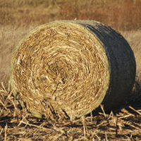 Converting agricultural biomass to sugar