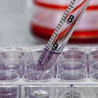 Man survives severe infection after participating in world-first stem cell trial