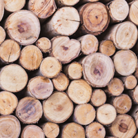 Pulp mill to recover wood byproduct for transformation into green bioproducts