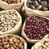 Spilling the beans on gut health