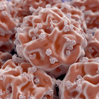 A new method to grow stem cells for cancer patients