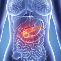 Inaugural meeting of global pancreatic cancer organizations