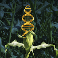 DuPont unveils product developed through CRISPR-Cas