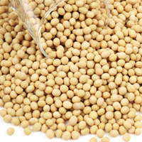 Soy isoflavones and peptides may inhibit the growth of microbial pathogens