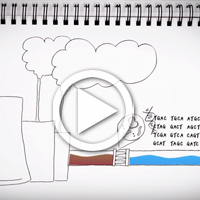 Watch: Genomics and the environment sector