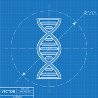 Human blueprints from scratch