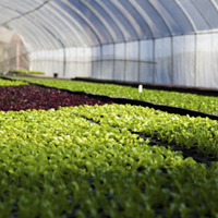 Have your say: Global survey on precision agriculture