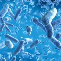 Toxic chemicals for breakfast? Federal funding will help bring U of T research to market