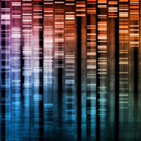 The newest tool in the fight against cancer is a huge genetic database