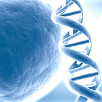 Researchers harness DNA in a super-efficient sensor
