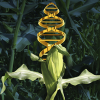 The case for more genomics start-ups in agriculture
