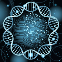 Analog DNA circuit does math in a test tube
