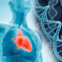 Cardiovascular Genetics Centre opens in Montreal