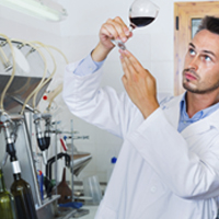 Breakthrough paves way for wine grape varieties