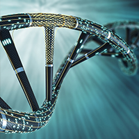 Scientists create first stable semi-synthetic organism