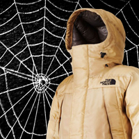 Fashionable synthetic biology: The North Face’s ‘Moon Parka’ spun from faux spider silk