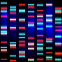 Spera Genomics offering preventive whole-genome sequencing to Canadian patients