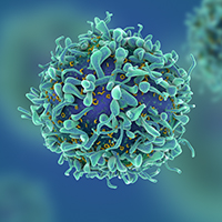 CRISPR eliminates HIV in live animals