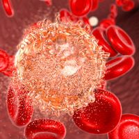 Stem-cell researchers solve mystery of relapse in acute myeloid leukemia