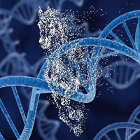 Scientists upload a galloping horse gif into bacteria with CRISPR