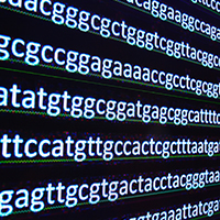 UK Biobank makes available vast trove of genetics information