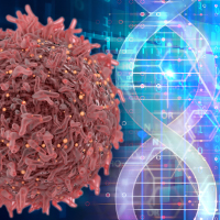 New test for BRCA1 and BRCA2 mutations could reduce pre-emptive mastectomies