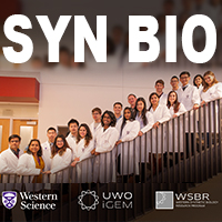SynBio is booming at Western University