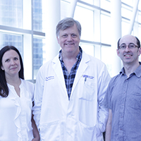 Revealing the molecular mystery of human liver cells