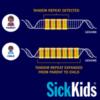 SickKids scientists discover novel genetic contributors to autism